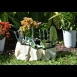 Gardening Tools - 7 Pcs