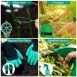 Gardening Tools-11 pcs