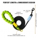 Nylon Dog Leash