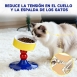 Cuenco elevado para gatos