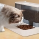 Automatic Cat Feeder
