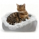 Cat Bed