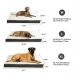 Dog Beds 