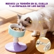 Cuenco elevado para gatos