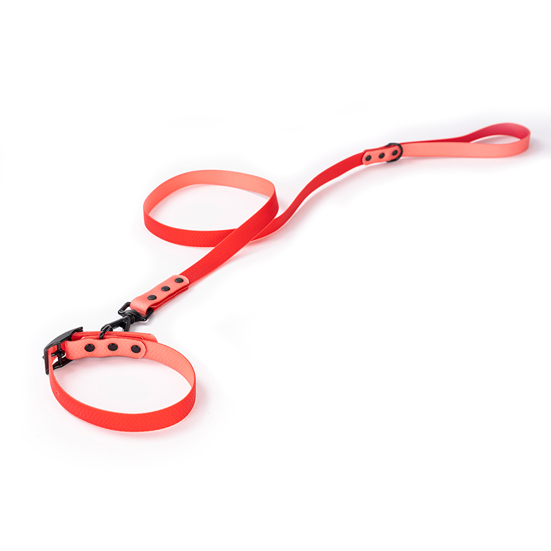 PVC Dog Leash